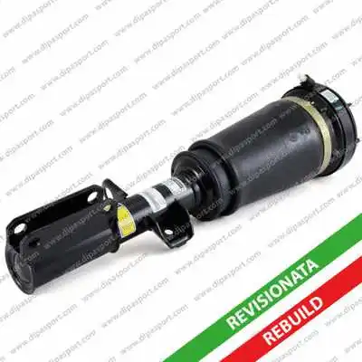 Air Suspension Strut (SSAS02305AR)