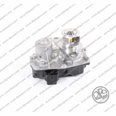 EGR Valve (EGR157PRBN)