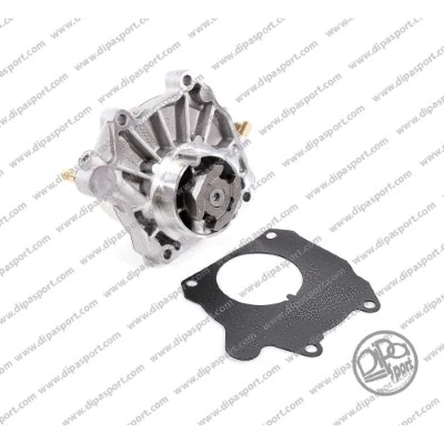 Vacuum Pump, braking system (PAV108PRBN)