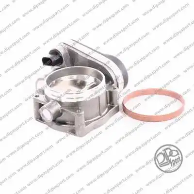 Throttle Body (FLAI384N)