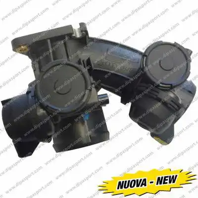 Throttle Body (FLAI067N)
