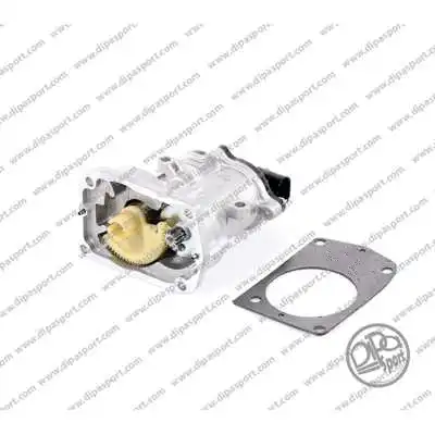 EGR Valve (EGR117PRBN)