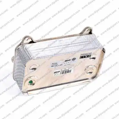 Oil Cooler, engine oil (RAO075N)