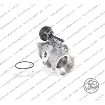 EGR Valve (EGR041WHLN)