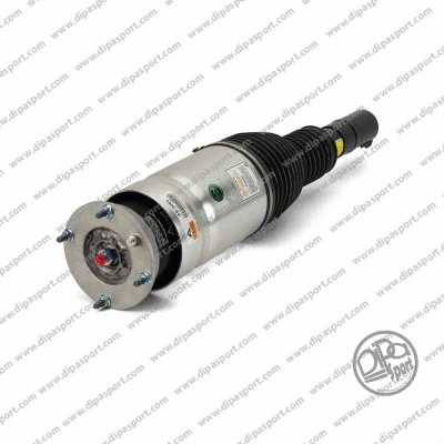 Air Suspension Strut (SSAS03069R)