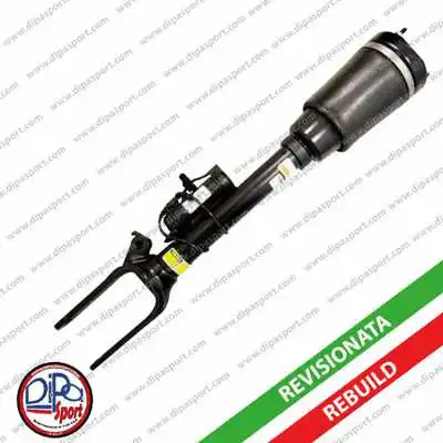 Air Suspension Strut (SSAS02450AR)