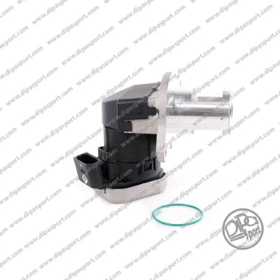 EGR Valve (EGR069PRBN)