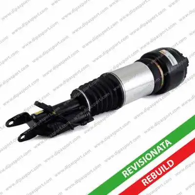 Air Suspension Strut (SSAS02300R)
