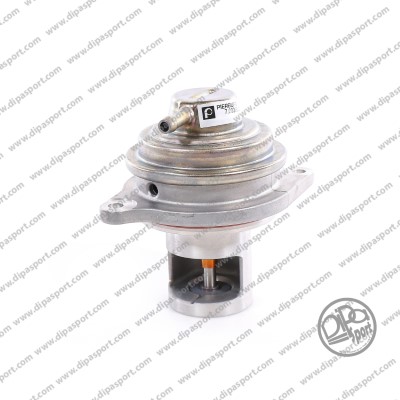 EGR Valve (EGR255DLPN)