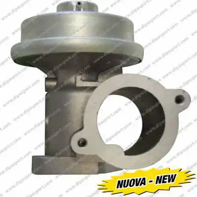 EGR Valve (EGR171AN)