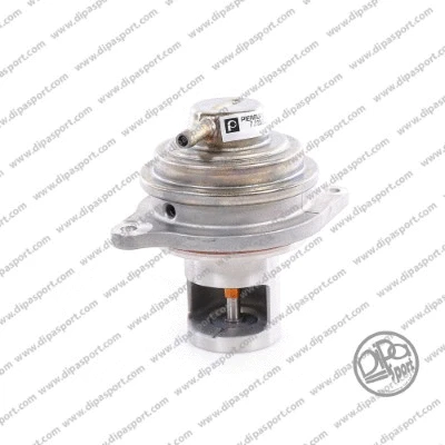 EGR Valve (EGR255PRBN)