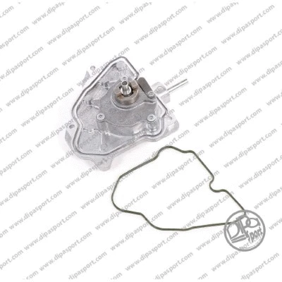 Vacuum Pump, braking system (PAV146PRBN)