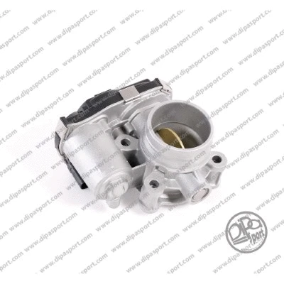 Throttle Body (FLAI489R)