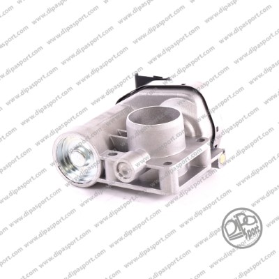 Throttle Body (FLAI003DPSN)