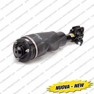 Air Suspension Strut (SSAS02795N)