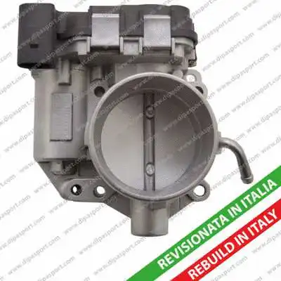 Throttle Body (FLAI257R)