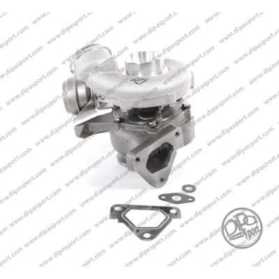 Charger, charging (supercharged/turbocharged) (TRB021DPSN)