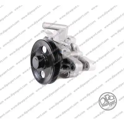 Hydraulic Pump, steering (PSO001DPSN)
