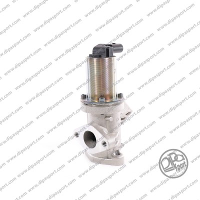 EGR Valve (EGR172PRBN)