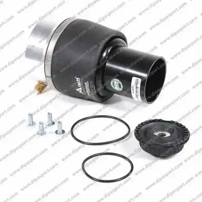 Air Spring, suspension (SSA02571N)