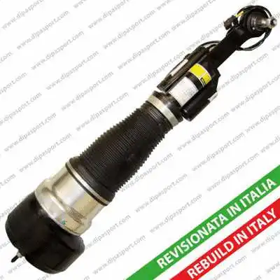 Air Suspension Strut (SSAS02547AR)