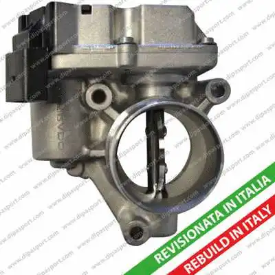 Throttle Body (FLAI053R)