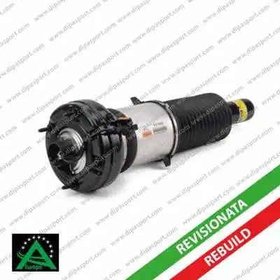 Air Suspension Strut (SSAS02865R)