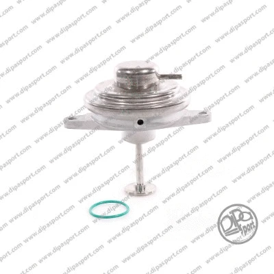 EGR Valve (EGR008AN)