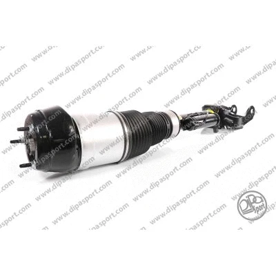 Air Suspension Strut (SSAS03061N)