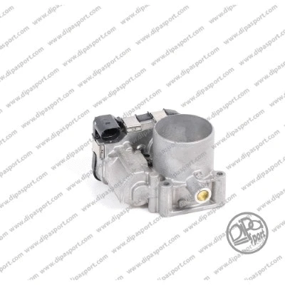 Throttle Body (FLAI148DPSN)