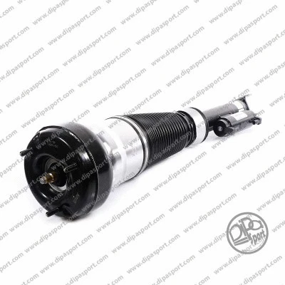 Air Suspension Strut (SSAS03163N)