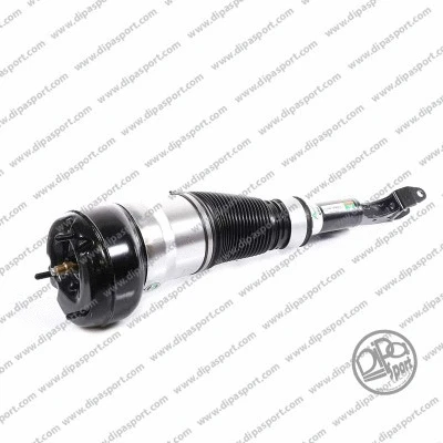 Air Suspension Strut (SSAS03160N)