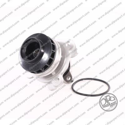 Water Pump, engine cooling (PAA129VLON)