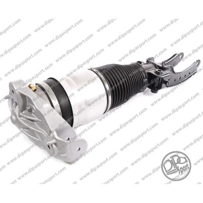 Air Suspension Strut (SSAS02572N)
