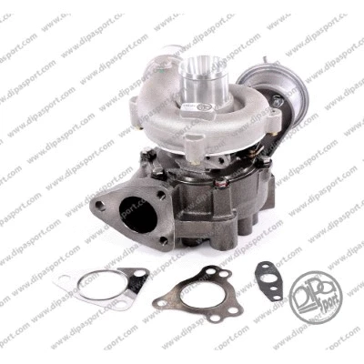 Charger, charging (supercharged/turbocharged) (TRB063DPSN)