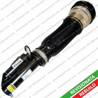 Air Suspension Strut (SSAS02193AR)