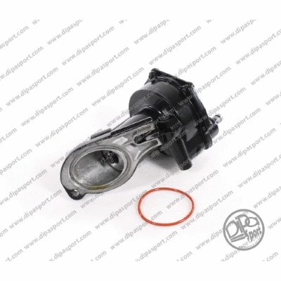 Vacuum Pump, braking system (PAV136PRBN)