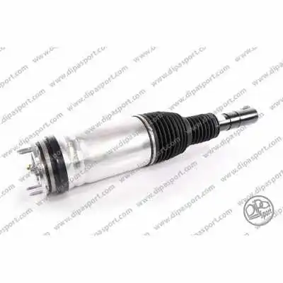 Air Suspension Strut (SSAS03067N)