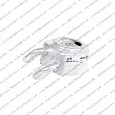 Oil Cooler, engine oil (RAO063N)