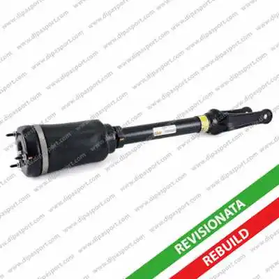 Air Suspension Strut (SSAS02451AR)