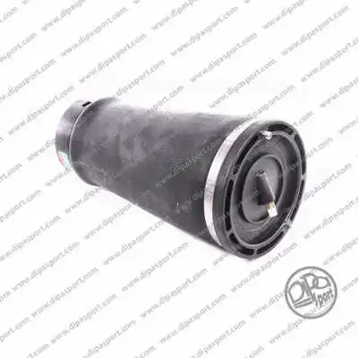 Suspension Kit, springs/shock absorbers (SSC02203N)