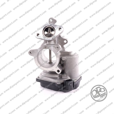 EGR Valve (EGR025DLPN)
