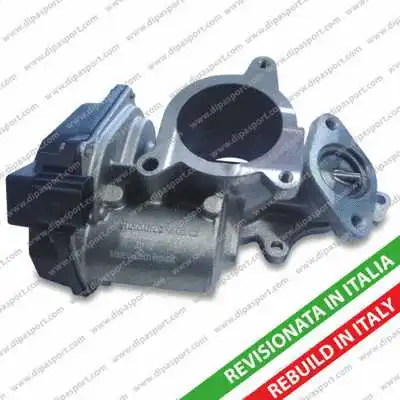 EGR Valve (EGR025R)