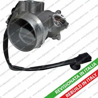 EGR Valve (EGR095R)