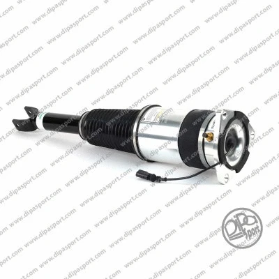 Air Suspension Strut (SSAS03130N)