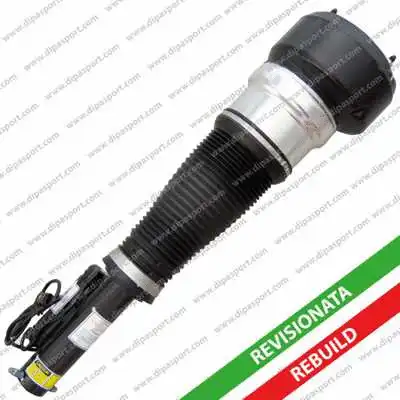 Air Suspension Strut (SSAS02540AR)