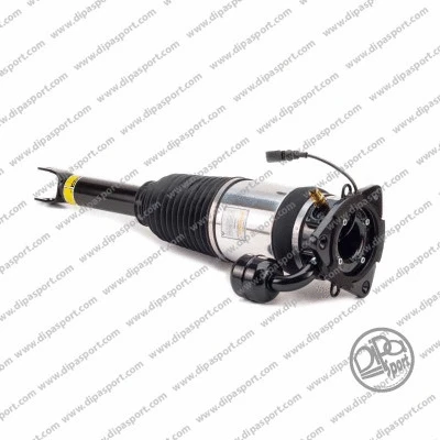Air Suspension Strut (SSAS03129N)