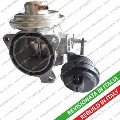 EGR Valve (EGR040R)