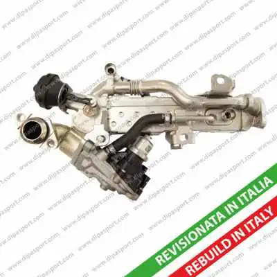 EGR Module (EGR268RCR)