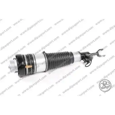 Air Suspension Strut (SSAS02744VBRN)